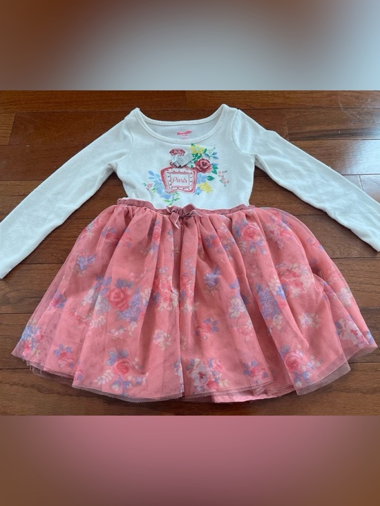Nannette Other - Girls Pink Floral Tulle Skirt Dress - Long Sleeve